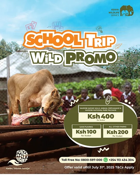 Enjoy discounted prices for school students.