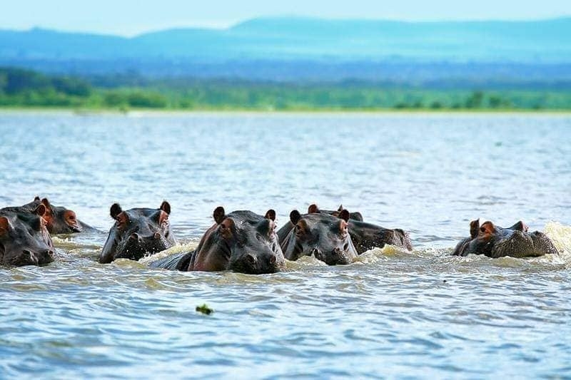 Sibiloi National Park