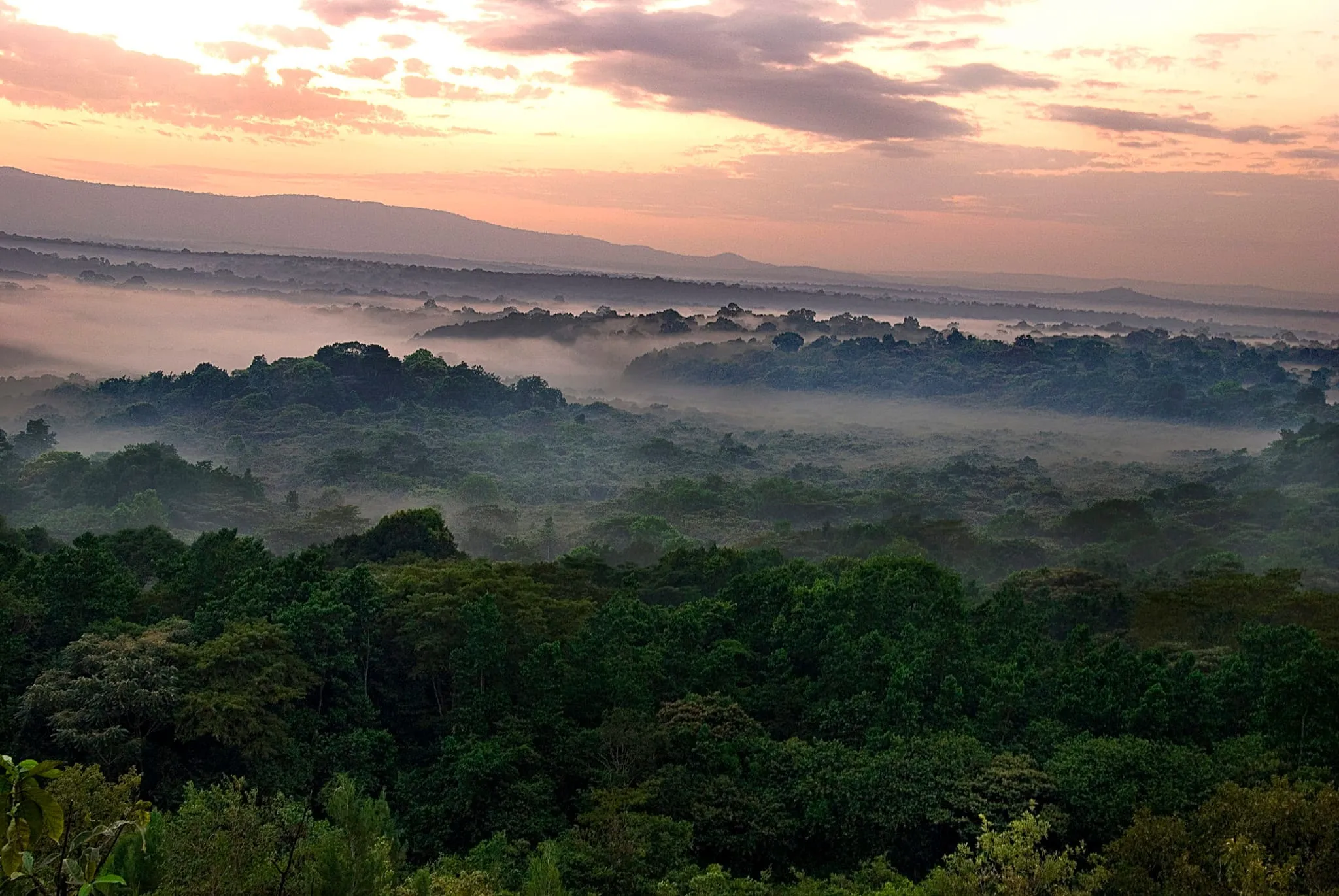 Kakamega Forest National Reserve
