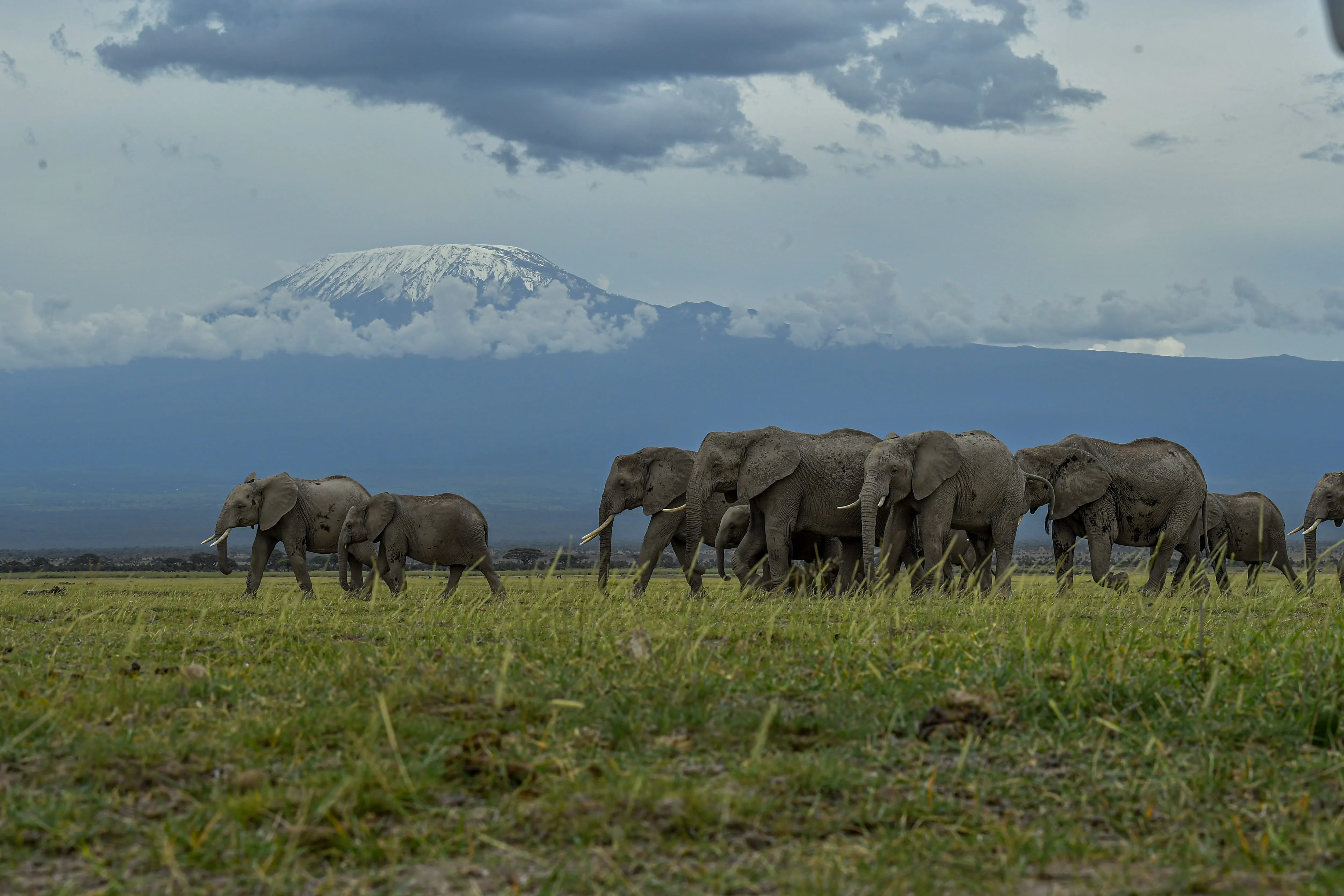 Amboseli National Park