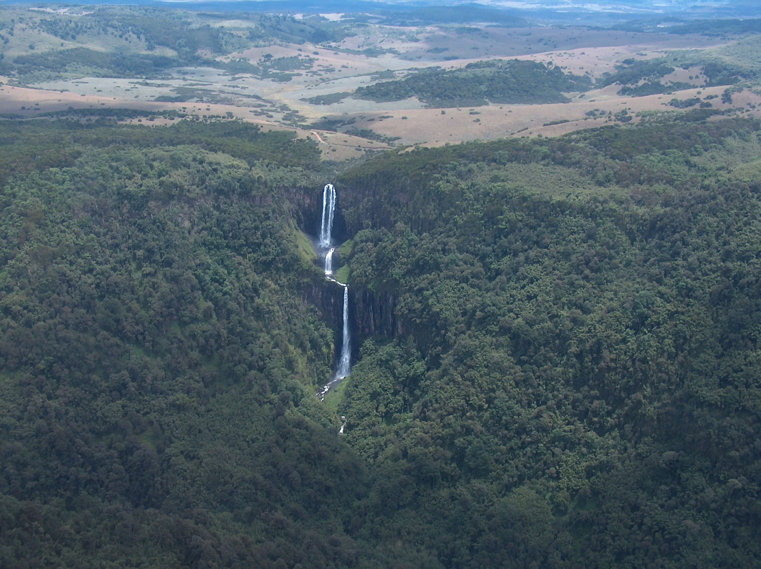 Aberdare National Park